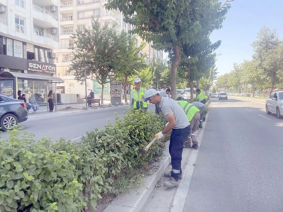 ANA ARTERLERDE KURU OT TEMİZLİĞİ GERÇEKLEŞTİRDİ