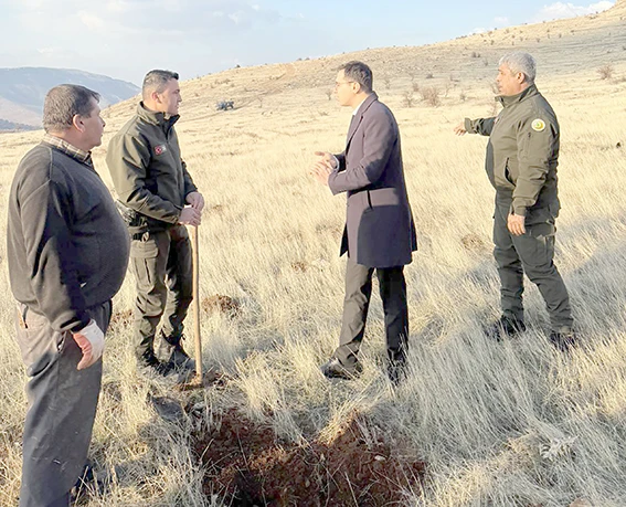 GERC&Uuml;Ş'TE 39 BİN 500 FİDAN TOPRAKLA BULUŞTU