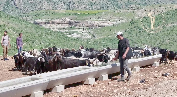 HAYVANLARIN SU İHTİYACI SERÇE PARMAK PROJESİ İLE GİDERİLİYOR