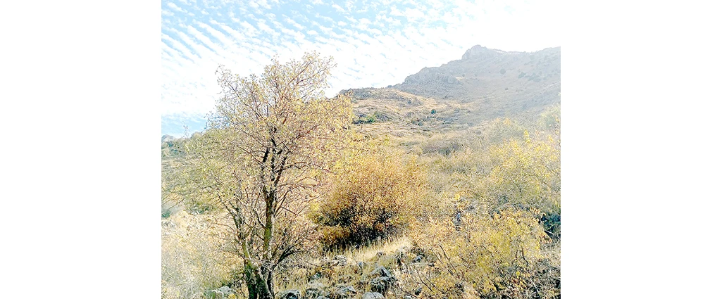 ÇİFTÇİLER UYARDI “YAĞIŞLAR YETERSİZ, KURAKLIK KAPIDA”