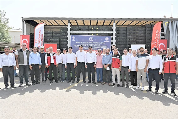 210 BİN ADET HİBRİT SEBZE FİDESİ DAĞITILDI