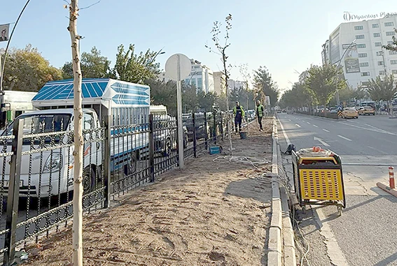 KAVŞAKLARA EŞ ZAMANLI AĞAÇLANDIRMA ÇALIŞMASI