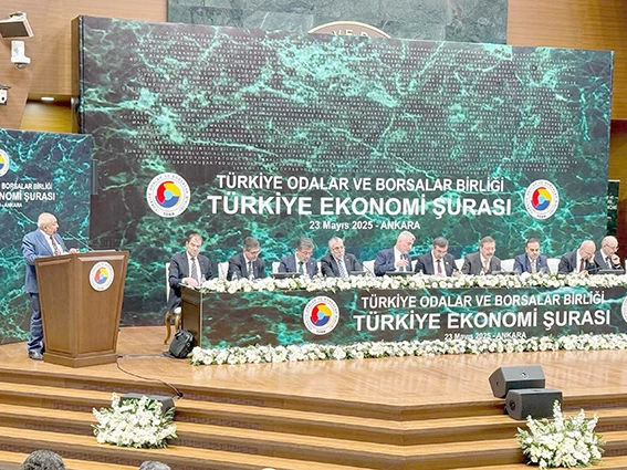 BAŞKAN GÜNEŞ, TÜRKİYE EKONOMİ ŞURASI’NDA BATMAN İÇİN ÖNEMLİ TALEPLERDE BULUNDU