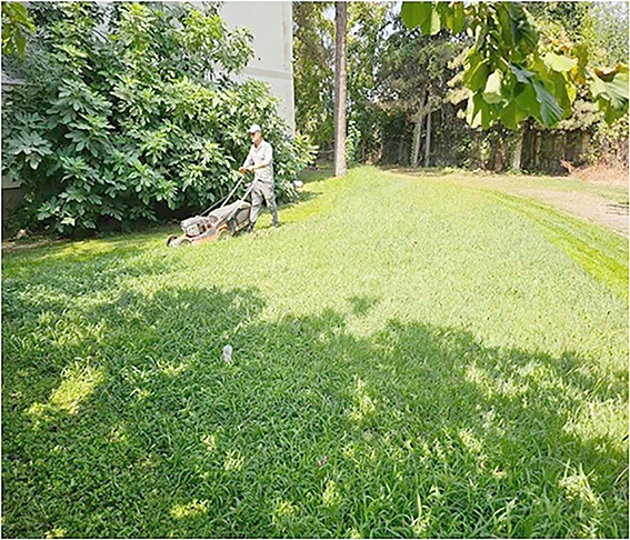 PARKLARDA ÇALIŞMALAR DEVAM EDİYOR