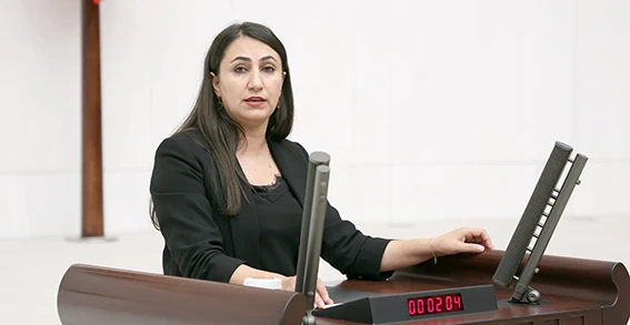 ODUNCU, KÜRTÇE İÇİN MECLİS ARAŞTIRMASI İSTEDİ