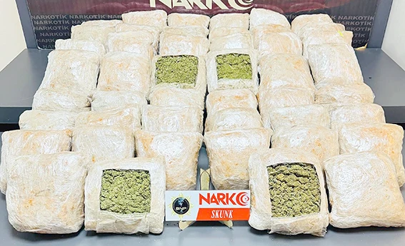 ÇİMENTO YÜKLÜ TIRDAN ZEHİR ÇIKTI