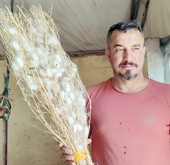 KOZA HASADI SASON’DA YÜZLERİ GÜLDÜRDÜ