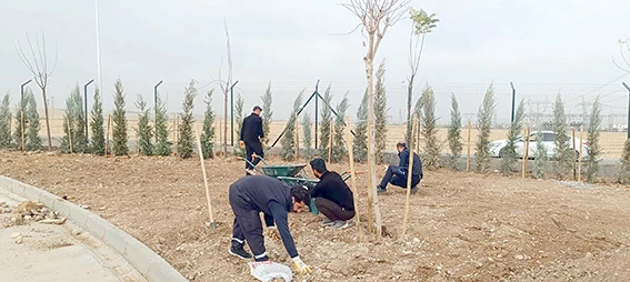 KATI ATIK AKTARMA İSTASYONU’NDA PEYZAJ DÜZENLEMESİ