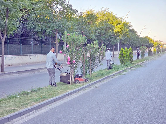 85 DÖNÜMLÜK ALANDA PARK VE BAHÇE BAKIMI GERÇEKLEŞTİRİLDİ