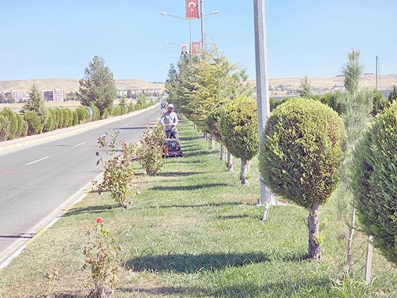 TÜM YEŞİL ALANLARA 1000'İN ÜZERİNDE İŞLEM GERÇEKLEŞTİRİLDİ