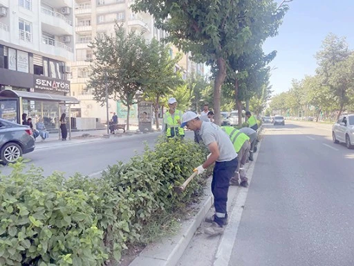 ANA ARTERLERDE KURU OT TEMİZLİĞİ GERÇEKLEŞTİRDİ