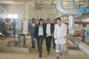 EŞ BAŞKAN SAHADA