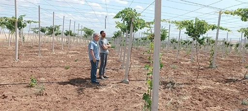 GAP İDARESİNDEN ÇİFTÇİLERE BÜYÜK DESTEK