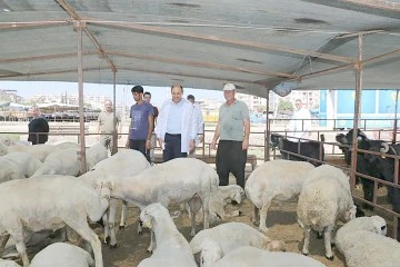 GEÇİCİ KURBAN SATIŞ VE KESİM YERLERİ BELİRLENDİ