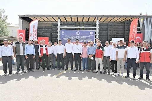 210 BİN ADET HİBRİT SEBZE FİDESİ DAĞITILDI