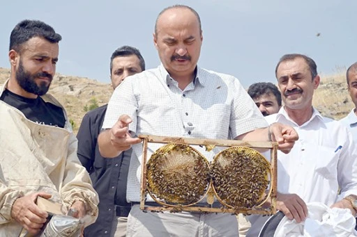VALİ CANALP, COBET YAYLASI’NDA İLK BAL SAĞIMINA KATILDI