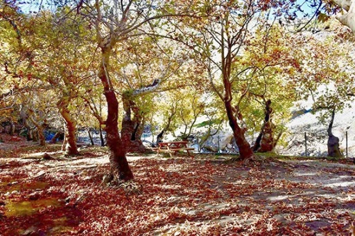 KINALI MESİRE ALANI YENİLENDİ