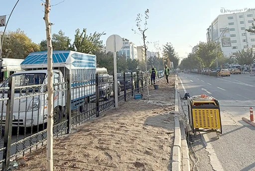 KAVŞAKLARA EŞ ZAMANLI AĞAÇLANDIRMA ÇALIŞMASI