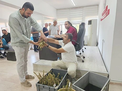 FISTIK ÜRETİCİLERİNE AŞI DAĞITILDI