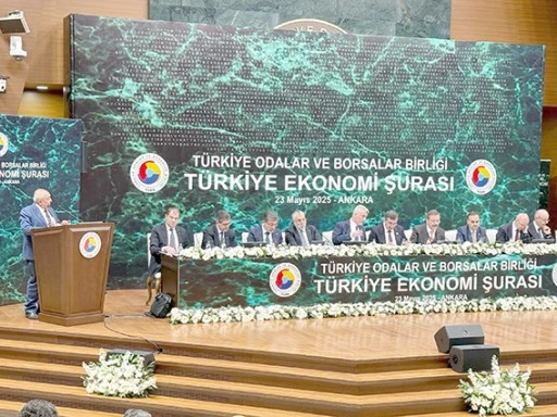BAŞKAN GÜNEŞ, TÜRKİYE EKONOMİ ŞURASI’NDA BATMAN İÇİN ÖNEMLİ TALEPLERDE BULUNDU
