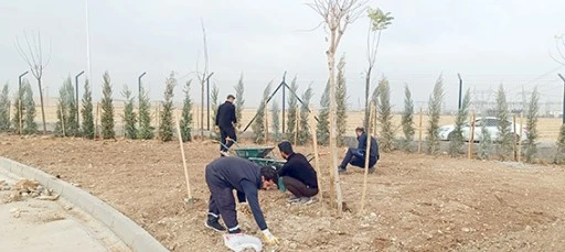 KATI ATIK AKTARMA İSTASYONU’NDA PEYZAJ DÜZENLEMESİ