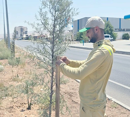 YEŞİL KUŞAK ÇALIŞMALARI ARALIKSIZ SÜRÜYOR