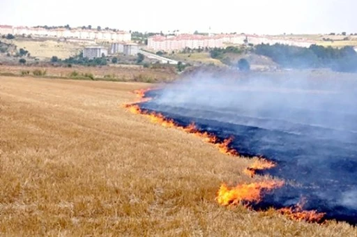 “TOPRAK YANIYOR, GELECEĞİMİZ TEHLİKEDE”
