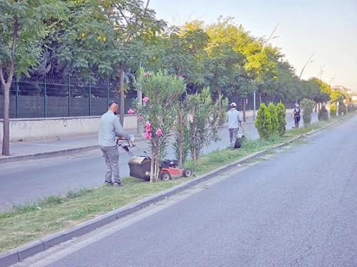 85 DÖNÜMLÜK ALANDA PARK VE BAHÇE BAKIMI GERÇEKLEŞTİRİLDİ