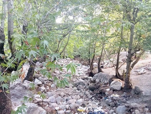 ŞAT DERESİ KURUDU, ESNAF ÇÖZÜM BEKLİYOR