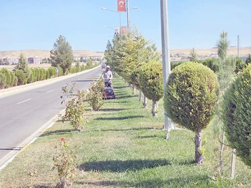 TÜM YEŞİL ALANLARA 1000'İN ÜZERİNDE İŞLEM GERÇEKLEŞTİRİLDİ